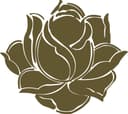 Guangzhou Liluan Trading Co., Ltd.