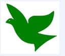 Linyi Zhongtai Import and Export Co., Ltd.