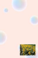 JIEXIU HENLI TRADING CO.,LTD