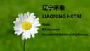 Liaoning Hetai Environmental Service Co., Ltd.