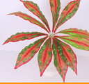 ERLIANHOT AOQI IMPORT AND EXPORT TRADE CO.,LTD