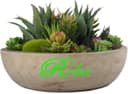 Anhui Golden Wetland Trading Co., Ltd.