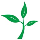 YIWU SEEDLING PHOTO FRAME CO., LTD.