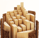 FUJIAN SHUNCHANG SHENGSHENG WOOD INDUSTRY LIMITED COMPANY