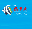 Ningbo Haishu Patino Trading Co., Ltd.