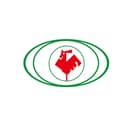 Anhui Hengchang New Materials Co., Ltd.