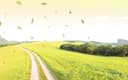 SHAOXING SHUNQI IMPORT AND EXPORT CO., LTD.