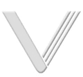 Quanzhou Weisen Trading Co., Ltd.