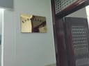 Jinjiang Huishuo Trading Co., Ltd.