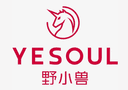 FUJIAN YESOUL HEALTH TECHNOLOGY CO., LTD