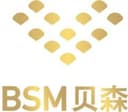 BSM ENTERPRISE LTD