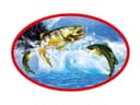 FUJIAN YUNXING FISHING PRODUCTS CO.,LTD