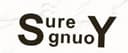 wenzhou sure young trading co.,ltd