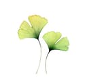 Chengdu Greenland Co.,Ltd