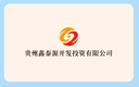 Guizhou Xintaiyuan Development and Investment Co., Ltd.
