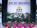 HomeDecor(Zhangping)CreativeElectronicsCo.,Ltd.