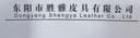 Dongyang Shengya Leather Co., LTD