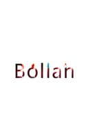 SHAODONG BOLIAN ELECTRIC CO., LTD