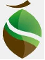 JIE YANG CITY BSBON INDUSTRY &trade co.,ltd