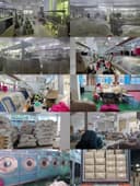 Shantou Chenghai District Xuda Garment Factory