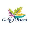 GOLD ORIENT INTERNATIONAL LIMITED