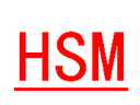 SHEN ZHEN CITY HUA SHENG MEI INVESTMENT DEVELOPMENT CO.,LTD