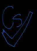 SHENYANG CHENGSHUN DECORATIONS CO..LTD.