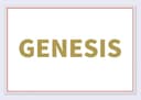 CHONGQING GENESIS IMPORT AND EXPORT COMPANY LIMITED