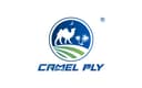 LINYI CAMEL PLYWOOD CO., LTD