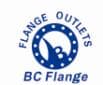Dingxiang Beicheng Flange Co.,ltd