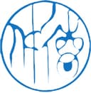 WEIHAI RENDE EMBROIDERY CO LTD