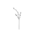 Bailisi Flower Factory (Huizhou) Co., Ltd.