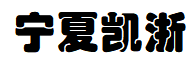 Ningxia Kaizhe Trading Co., Ltd