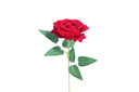 CHENGDE SHUANGCUN CO.,LTD