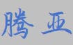 Hohhot Tengya Commerce and Trade Co., Ltd.